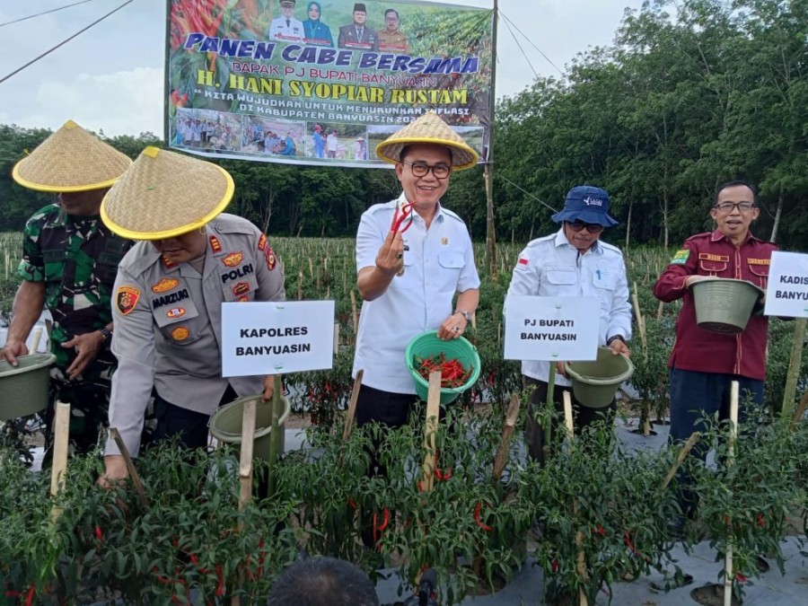 Kendalikan Inflasi, Pj Bupati Banyuasin Panen Cabe dan Tanam Bawang di Desa Tirto Sari