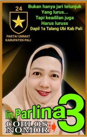 Menerima Aspirasi Pedagang, Iin Parlina Terpanggil Nyalon Anggota DPRD Pali 2024-2029