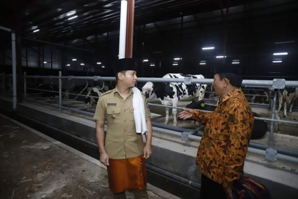 Mas Ipin Sambut Baik Investasi Sapi Perah di Desa Boto Putih