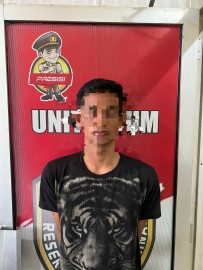 Tim “Beruang Hitam Terkam” Petani di Pali, Ternyata Kasusnya Ini