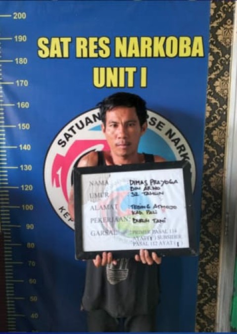 Satnarkoba Polres Pali Ringkus Kurir, Segini Lho Barang Buktinya