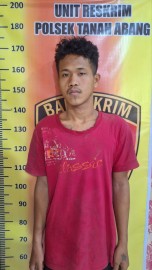 Tim Naga Hitam Polsek Tanah Sergap HP