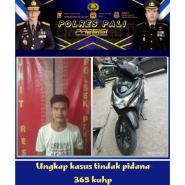 Begal Jalanan Dibekuk Tim Srigala Reskrim Penukal Abab