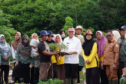 Kendalikan Inflasi, PJ Bupati Hani Syopiar Rustam Gencarkan Tanam Cabai