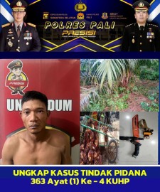 Buron 1 Tahun, Pencuri Sawit Dibekuk Satreskrim Polres Pali