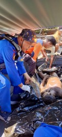 Pasca Terbakarnya Sumur Minyak Diduga Illegal, Kini Tim SAR Gabungan Kembali Temukan Mayat Kedua