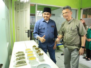 Tuhu Bangun Puji Citarasa Green Tea Pabrik Teh Gunung Dempo