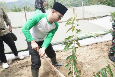 Bupati Trenggalek Serahkan Penghargaan Adipura Desa dalam Peringatan Hari Menanam Pohon Indonesia 2024