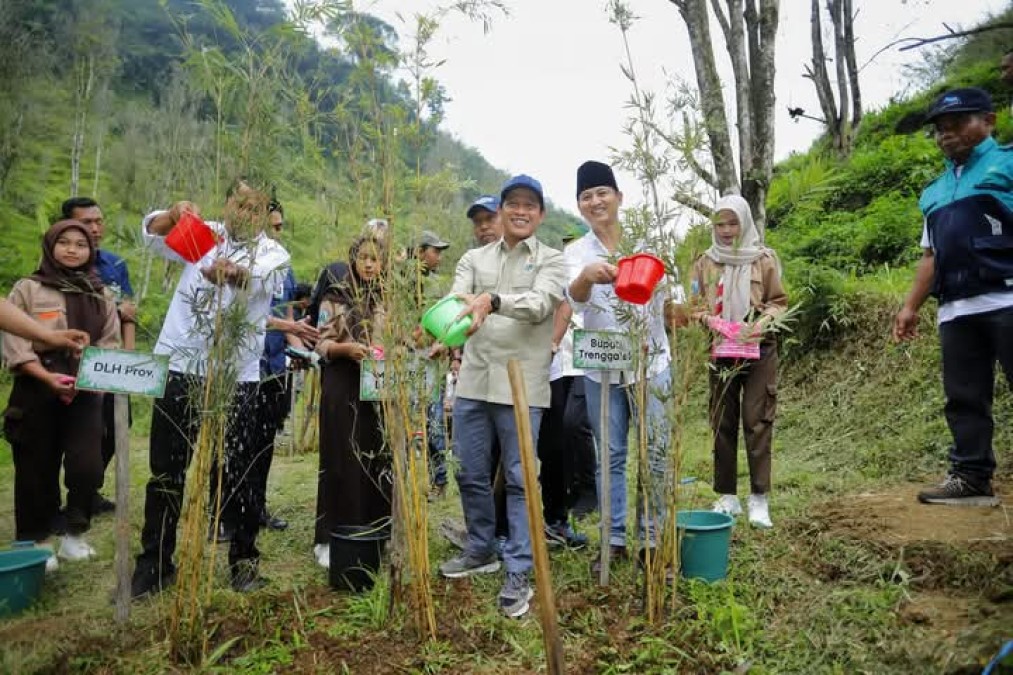 Menteri Lingkungan Hidup Tanam Pohon Bambu di Trenggalek