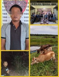 Polsek Penukal Abab Berhasil Ungkap Kasus Curat, Simak Penjelasannya