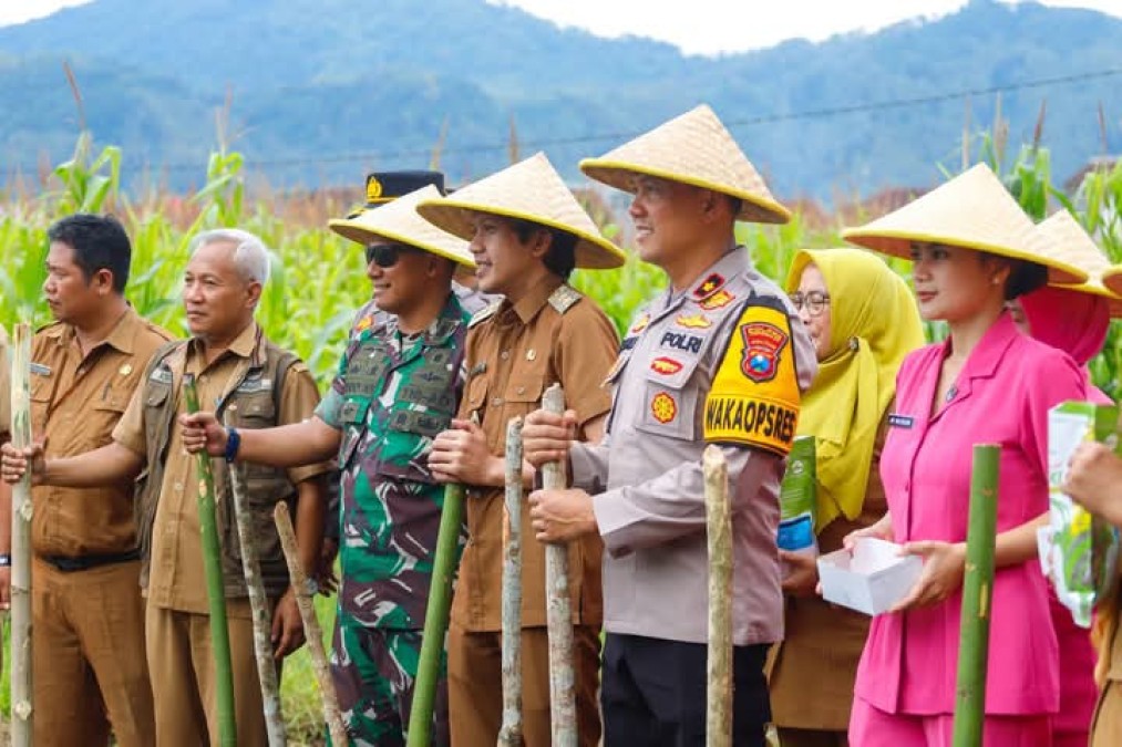 Dukung Wujudkan Swasembada Pangan Wabup Syah dan Forkopimda Trenggalek Tanam Jagung