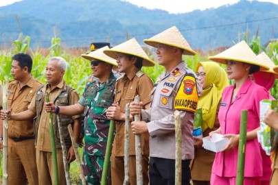 Dukung Wujudkan Swasembada Pangan Wabup Syah dan Forkopimda Trenggalek Tanam Jagung