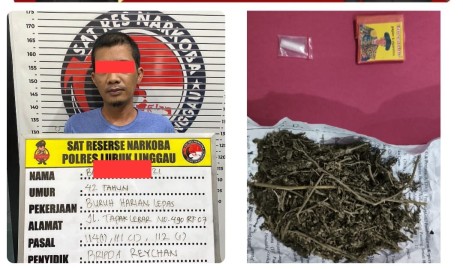 Bawa Ganja, BHL ini Ditangkap Polres Lubuklinggau