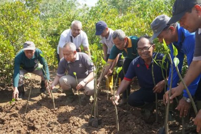 Dukung Net Zero Carbon, Pegawai di Lingkup Sekretariat Daerah Trenggalek Tanam 750 Bibit Mangrove di Pancer Cengkrong