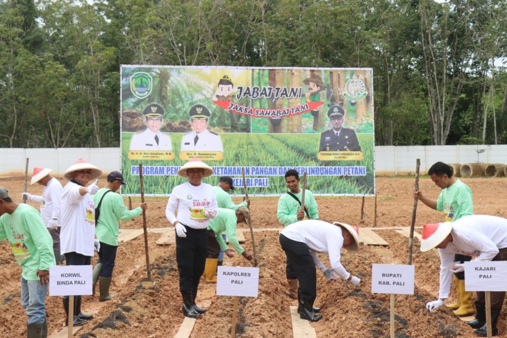 KEJARI PALI RESMIKAN PROGRAM JABAT TANI, SINERGI UNTUK MENINGKATKAN KETAHANAN PANGAN DAN MELINDUNGI PETANI