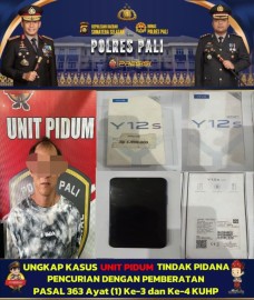 Satreskrim Polres PALI Bekuk Pelaku Pencurian Handphone di Desa Sinar Dewa