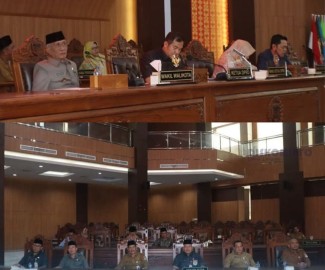 Rapat Paripurna DPRD Kota Lubuklinggau, Mendengarkan Pidato Visi dan Misi Walikota dan Wakil Walikota