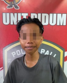 Polres PALI Bekuk Komplotan Pencuri Sawit, Dua Ton Raib dari Kebun Warga