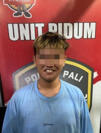 Berita WP #71349
