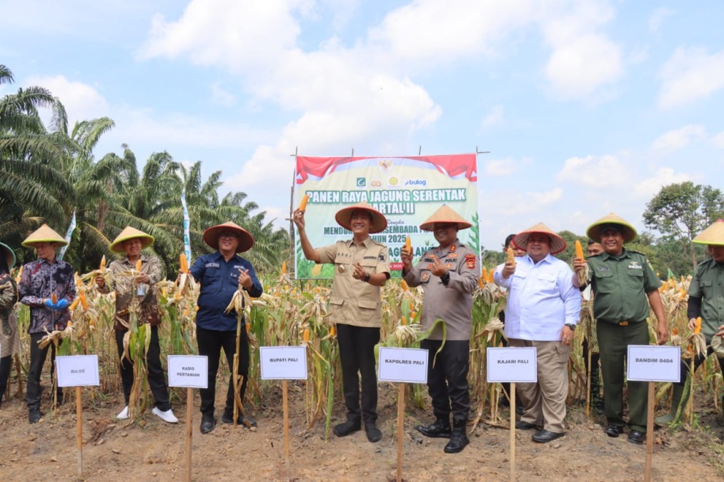 PANEN RAYA JAGUNG SERENTAK KUARTAL II DI PALI: POLRI DAN PEMERINTAH DAERAH PERKUAT KETAHANAN PANGAN NASIONAL 2025