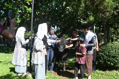 Hari Raya Idul Adha, Novita Hardini Anggota DPR RI Dapil VII Jatim Berharap Membawa Keselamatan Bagi Seluruh Masyarakat