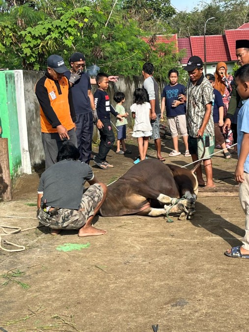 Suka Ria di Hari Raya Idul Adha di Perumahan Green Garden Residen III Lubuklinggau