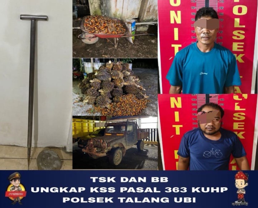 Polsek Talang Ubi Tangkap Dua Pencuri Sawit, 132 Tandan Diamankan