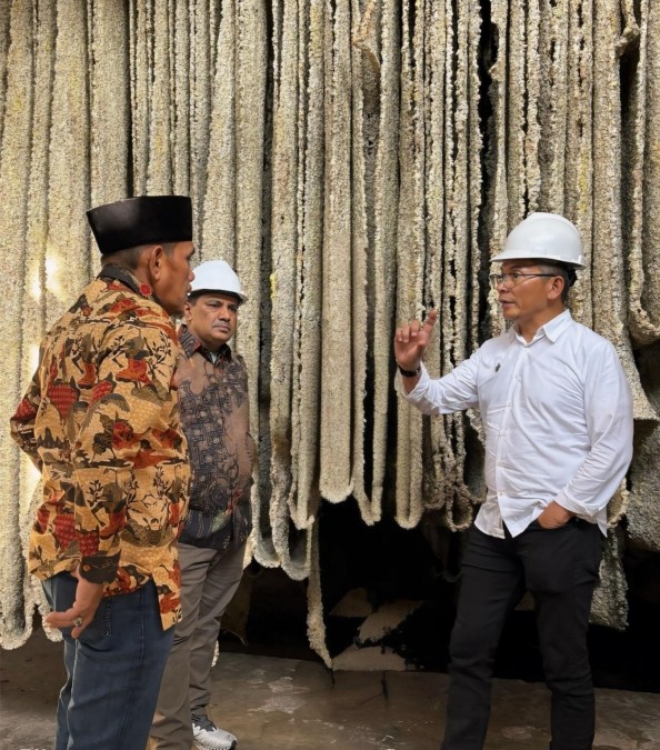 Komoditi Karet PTPN I Masih Sangat Prospektif