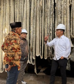 Komoditi Karet PTPN I Masih Sangat Prospektif
