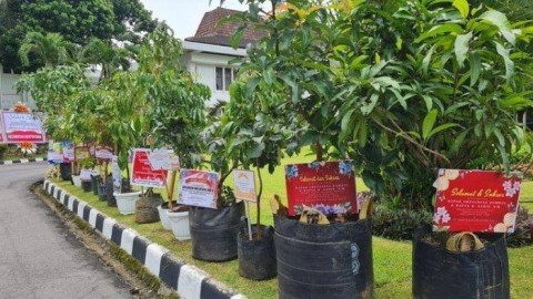 Inovasi Baru, NR Florist Linggau Sediakan Ucapan Lewat Bibit Tanaman Buah