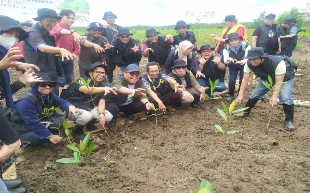 Jurnalis Sumsel Ikut Tanam Mangrove di Sunsang IV, Dukung Kelestarian Pesisir