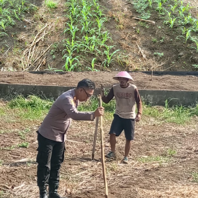 Polres Lubuk Linggau Dorong Ketahanan Pangan Lewat Lahan P2L