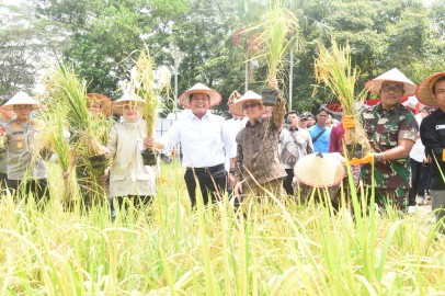 Gubernur Herman Deru Dorong Intensifikasi Pertanian: Sumsel Masuk Lima Besar Nasional