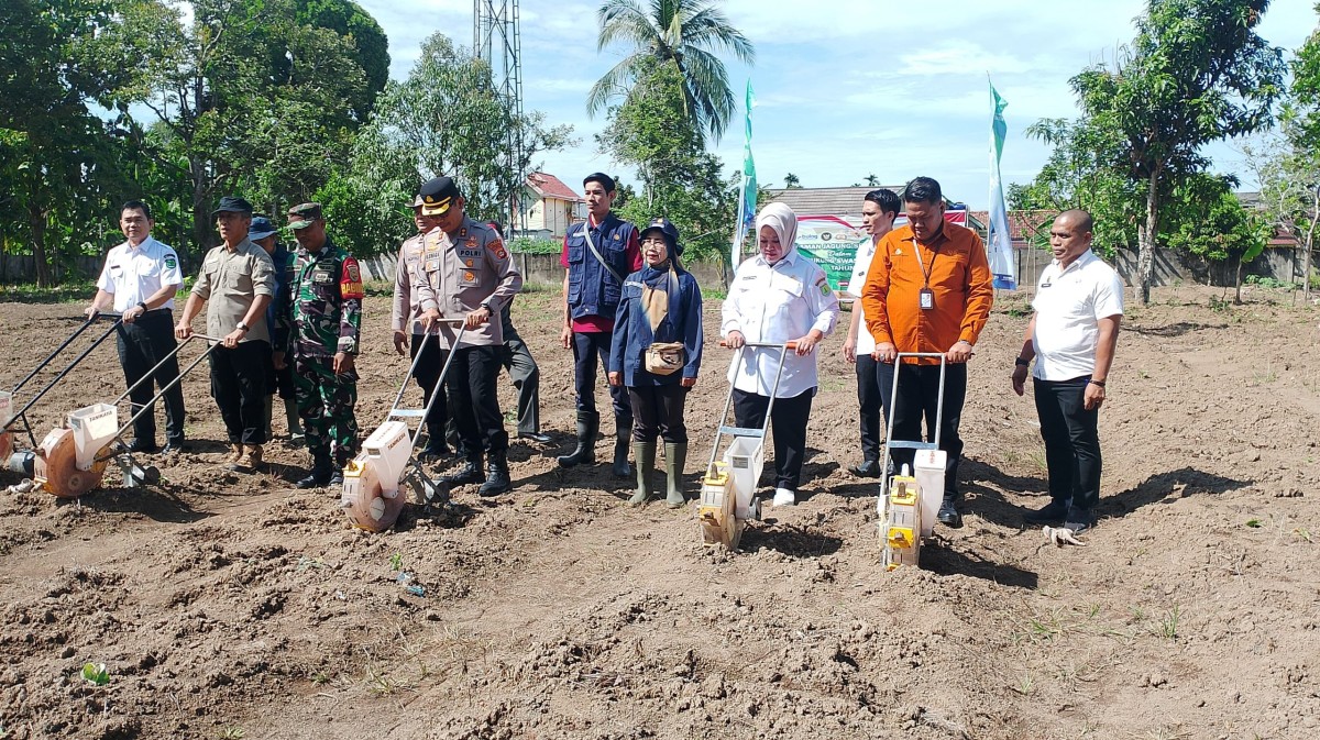 Musi Banyuasin Targetkan Swasembada Pangan 2025