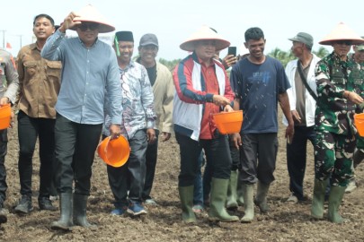 Bupati Askolani Optimis Banyuasin Jadi Nomor 1 Lumbung Pangan Nasional