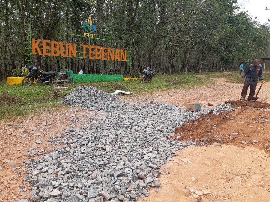 PTPN I REGINOAL 7 Kebun Tebenan, Perbaiki Jalan Berlubang